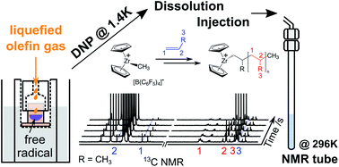 Schematic of DNP-NMR elucidation of polymerization reaction