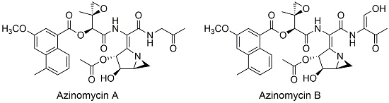 azinomycins