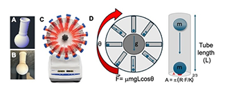 REU Project 10 Image