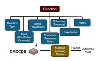 REU Project 8 Image 2