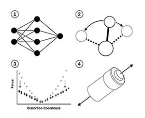 REU Project 10 Image