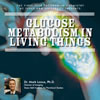 Glucose Metabolism in Living Things