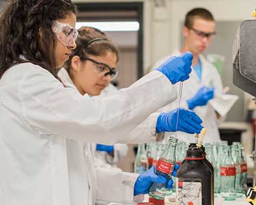Undergraduate students performing research in the lab.