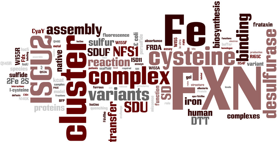 Fe-S cluster word cloud