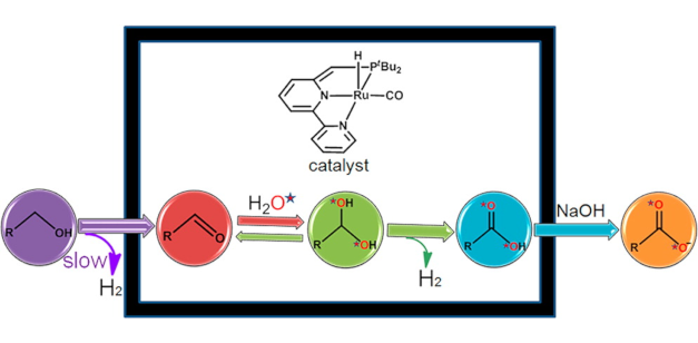 JACS abstract figure for Mechanism of the Formation of Carboxylate from Alcohols and Water Catalyzed by a Bipyridine-Based Ruthenium Complex: A Computational Study publication