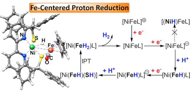 JACS abstract figure for Biomimetics of [NiFe]-Hydrogenase: Nickel- or Iron-Centered Proton Reduction Catalysis? publication