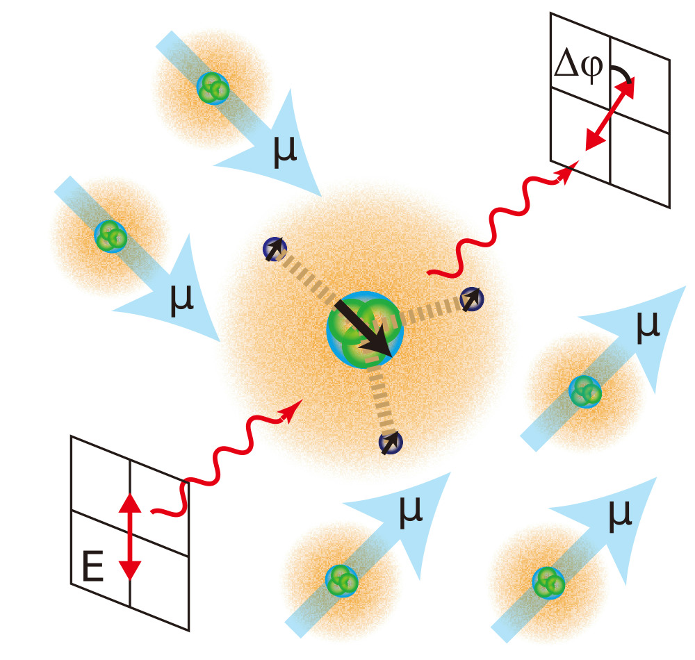 Schematic of nuclear spin optical rotation