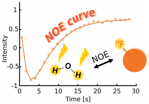 Schematic of Determination of intermolecular interactions using polarization compensated heteronuclear overhauser effect of hyperpolarized spins