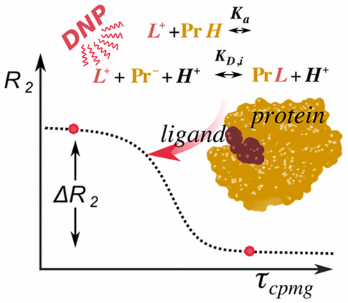 Schematic of Characterization of Chemical Exchange Using Relaxation Dispersion of Hyperpolarized Nuclear Spins