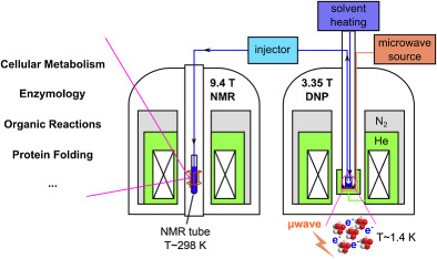 Schematic of applications of dissolution dynamic nuclear polarization in chemistry and biochemistry