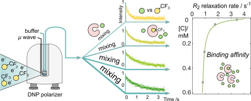 Schematic of determination of binding affinities using hyperpolarized NMR with simultaneous 4 channel detection