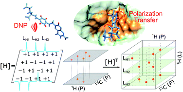 Schematic of Determination of protein-ligand binding modes using fast multi-dimensional NMR with hyperpolarization