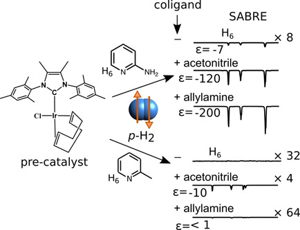 Schematic of nuclear spin hyperpolarization of NH2 and CH3 Substituted Pyridine and Pyrimidine Moieties by SABRE.