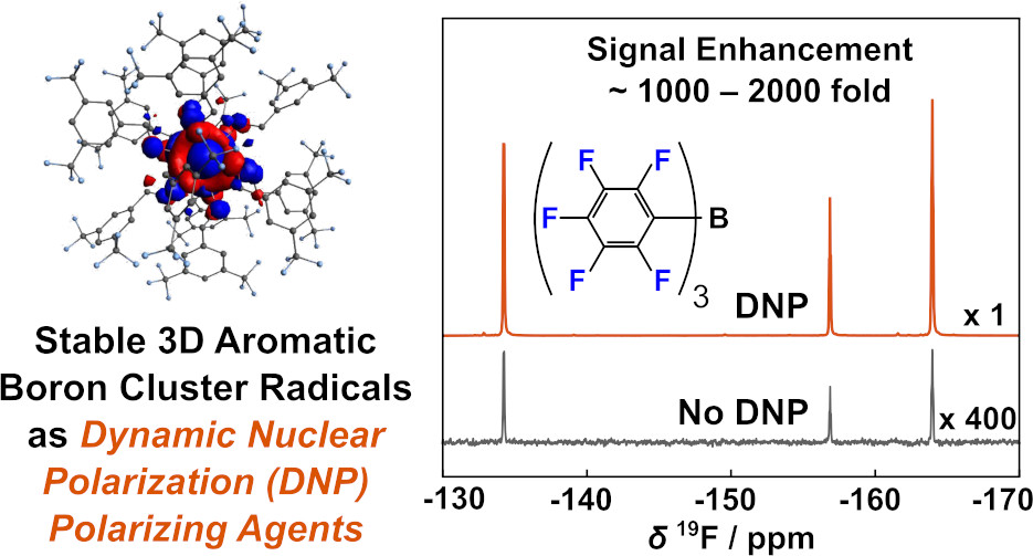 Schematic of Dynamic Nuclear Polarization Using 3D Aromatic Boron Cluster Radicals