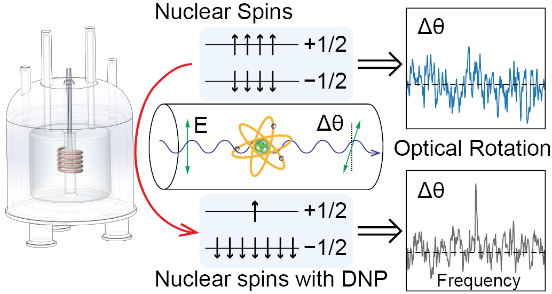 Schematic of DNP-NMR elucidation polymerization reaction