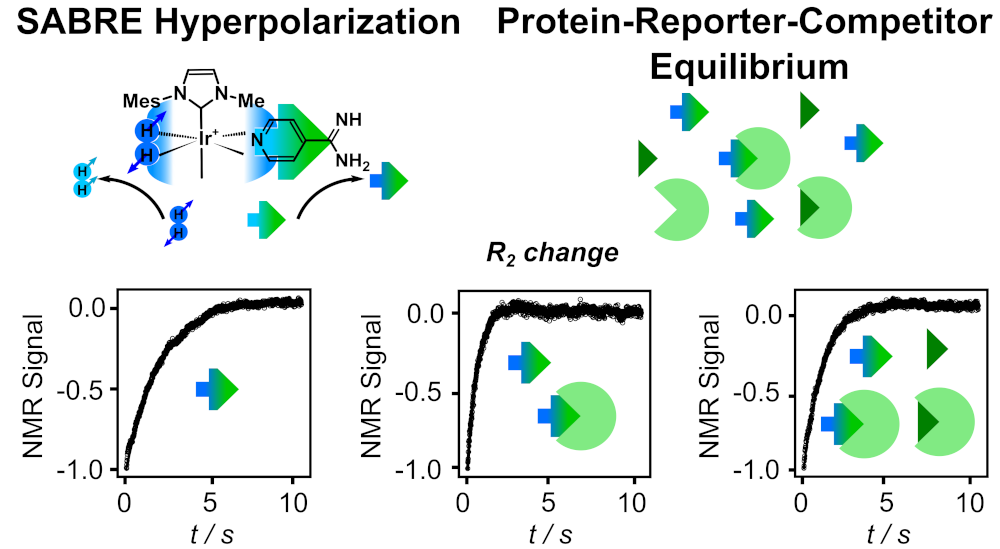 Schematic of interactions between protein and ligands