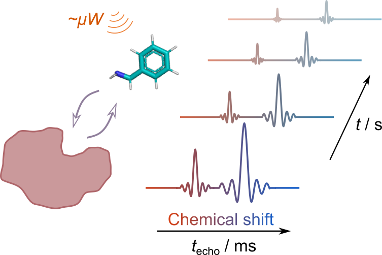 Illustration of spin echoes for ultrafast chemical shift - T2 relaxation correlation