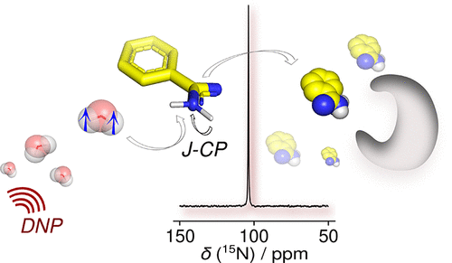Illustration of polarization transfer from water to a ligand of a protein