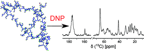 Schematic of solution NMR of polypeptides hyperpolarized by dynamic nuclear polarization
