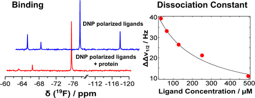 Schematic of nuclear magnetic resonance of hyperpolarized fluorine for characterization of protein-ligand interactions