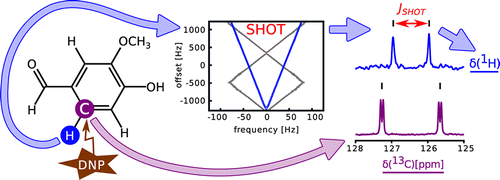 Schematic of chemical shift correlations from hyperpolarized NMR using a single shot