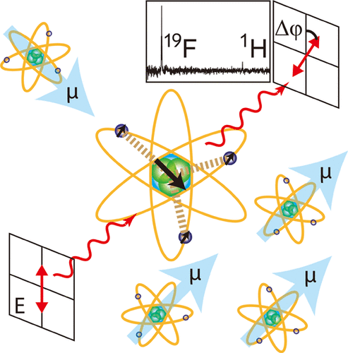 Schematic of Multinuclear Detection of Nuclear Spin Optical Rotation at low field