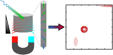Schematic of Probing molecular dynamics with hyperpolarized ultrafast Laplace NMR using a low field single sided magnet