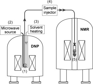 Schematic of Applications of Dissolution DNP for NMR Screening