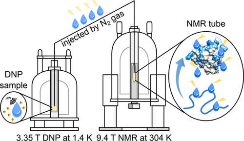 Schematic of Observation of fast two-dimenstional NMR Spectra during protein folding using polarization transfer from hyperpolarized water