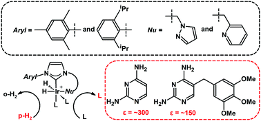 Schematic of tunable iridium catalyst designs with bidentate N-heterocyclic carbene ligand 