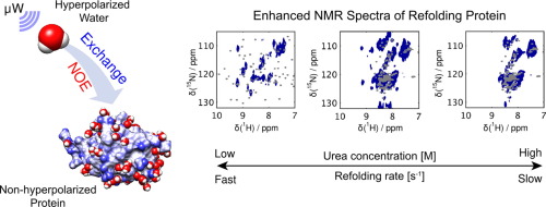 Schematic of enhanced NMR spectra of refolding protein