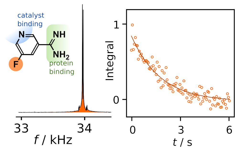 Schematic of low-field NMR spectrum