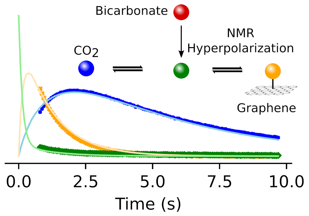 Schematic of signals from bicarbonate species