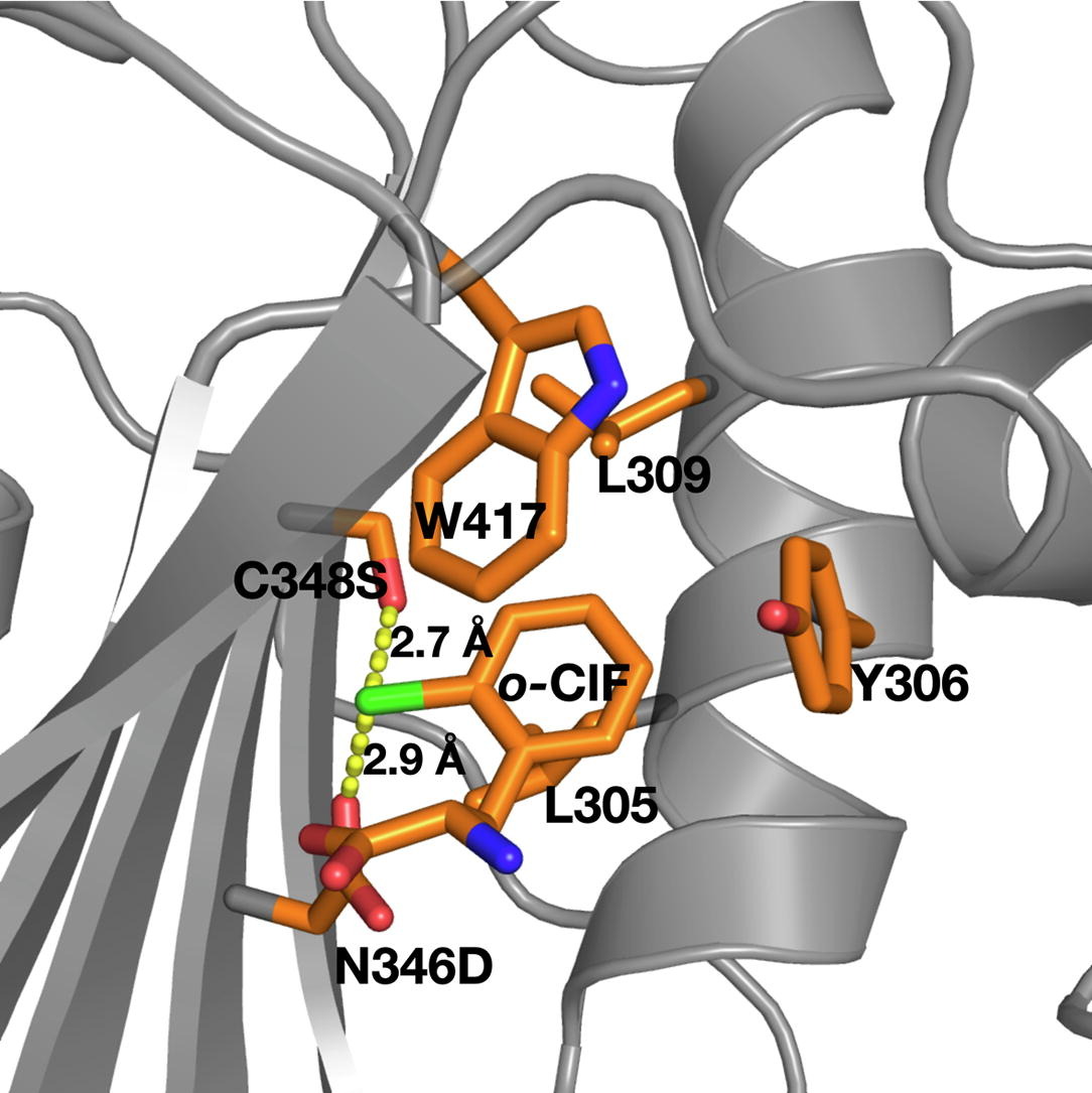 J. Mol Biol 2022_Erol