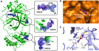 cur res in chem 2022