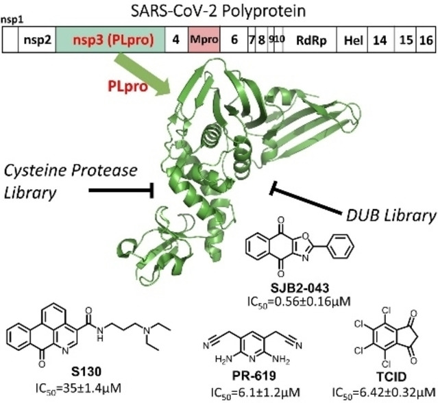 ChemMedChem_CCC22