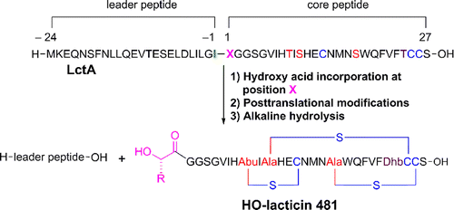 jacs_2015_6975