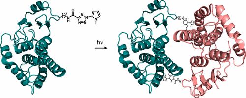 jacs_2017_139_6078