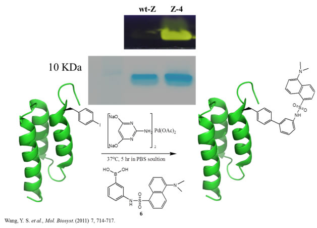 Site-selective labeling