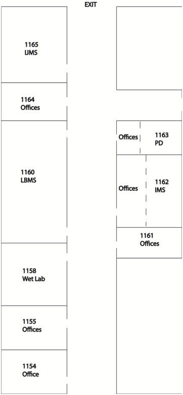layout